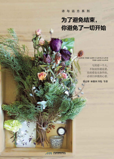 为了避免结束,你避免了一切开始 (诗与远方系列)