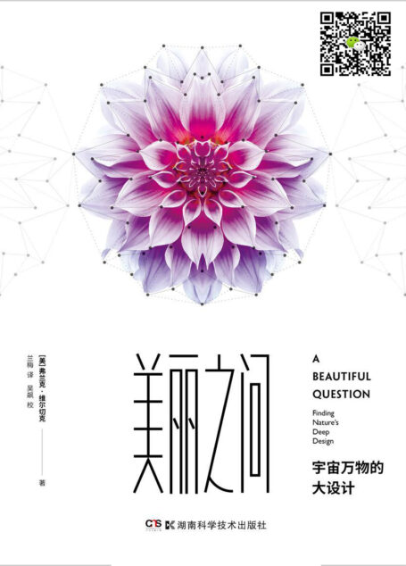 美丽之问:宇宙万物的大设计
