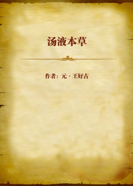 汤液本草