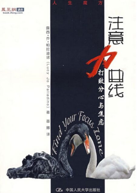 注意力曲线——打败分心与焦虑(人生魔方)