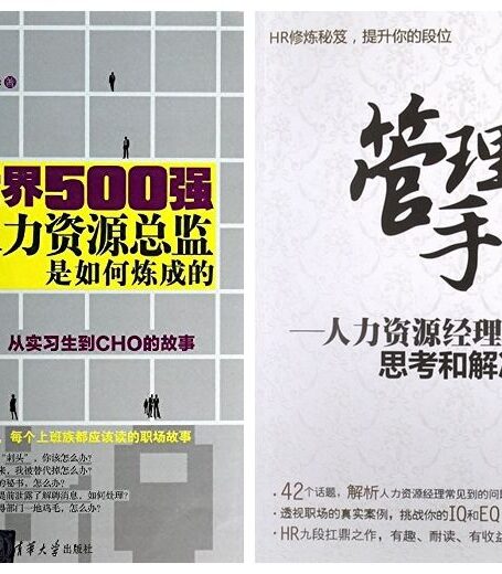 人力资源管理套装(世界500强人力资源总监是如何炼成的:从实习生到CHO的故事+管理手记:人力资源经理是怎么思考和解决问题的 共2本套装)