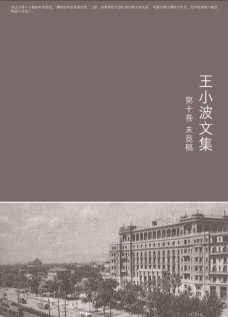 王小波文集-第十卷(作家出版社典藏版本)