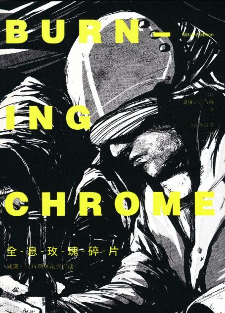 全息玫瑰碎片