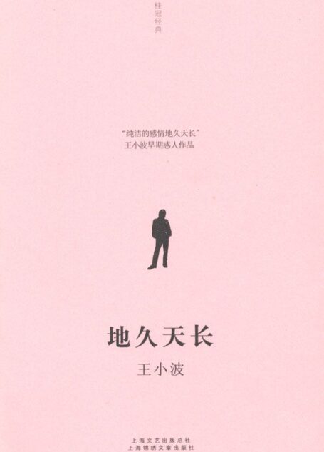 地久天长-王小波全集(作家出版社典藏版本) (桂冠经典)