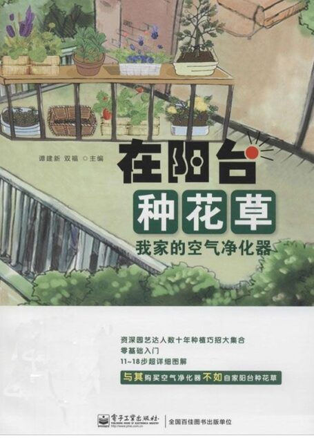 在阳台种花草:我家的空气净化器