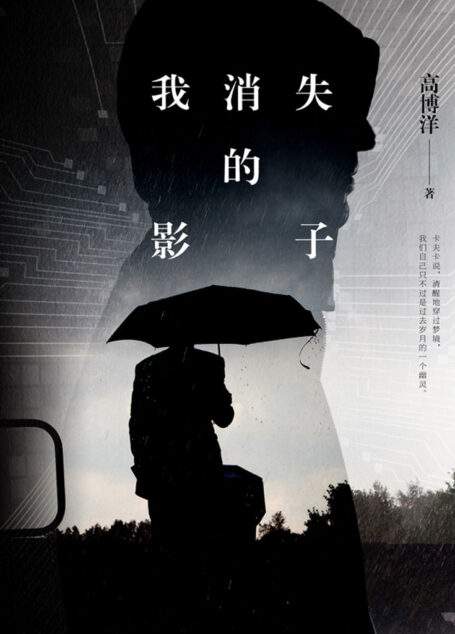 我消失的影子(中国版的《记忆碎片》!诡异命案伴随精神疾病!复杂情感人性纠葛! )