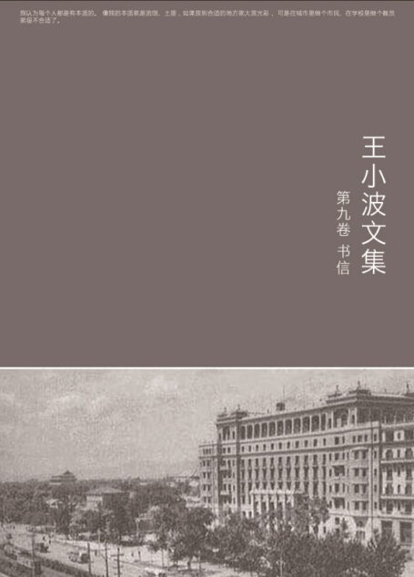 王小波文集-第九卷(作家出版社典藏版本)
