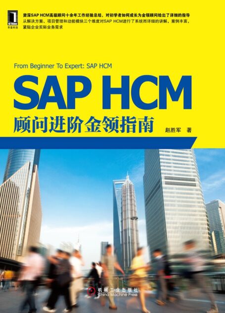 SAP HCM顾问进阶金领指南