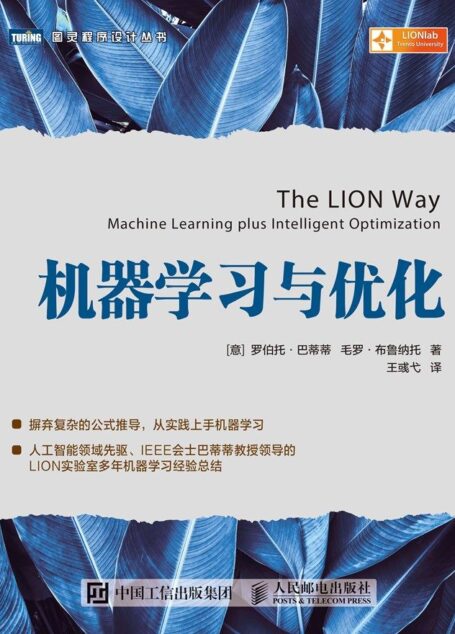机器学习与优化(图灵图书)