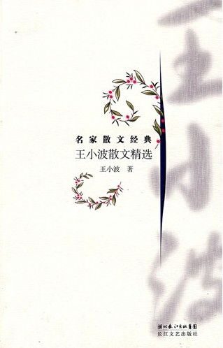 王小波散文精选 (名家散文经典)