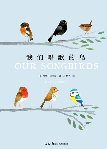 我们唱歌的鸟