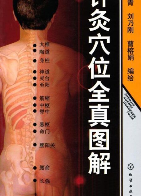 针灸穴位全真图解