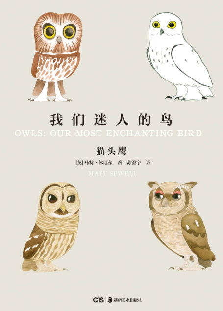 我们迷人的鸟:猫头鹰 (世界上的鸟儿)