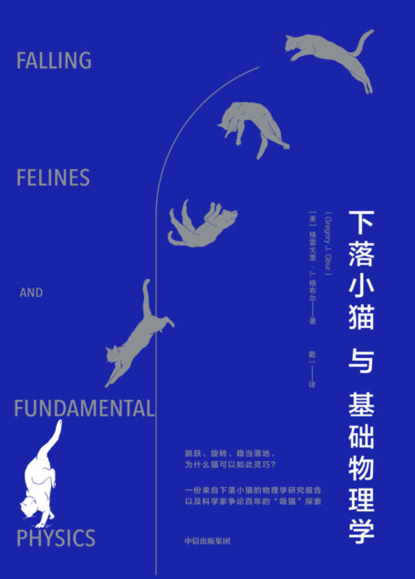 下落小猫与基础物理学
