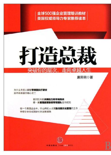 打造总裁——突破你的层次,走向卓越人生
