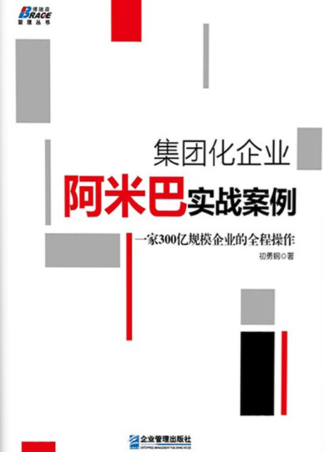 集团化企业阿米巴实战案例 (博瑞森管理丛书)