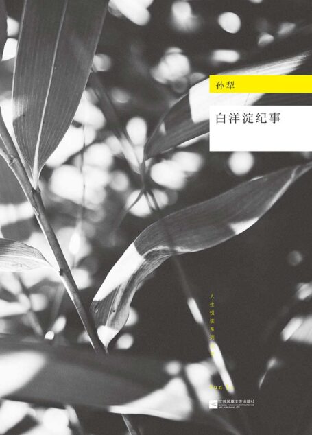 白洋淀纪事 (现代文库)