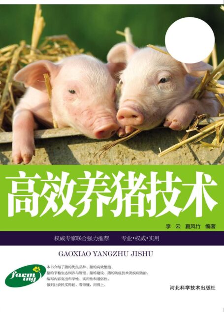 高效养猪技术