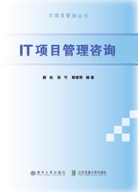 IT项目管理咨询