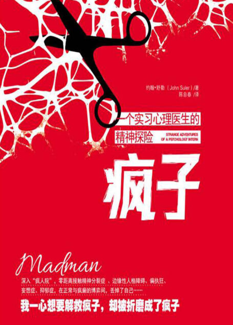 疯子(真实呈现精神分裂症、抑郁症、偏执狂等患者的内在世界)