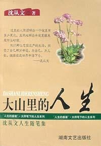 大山裡的人生