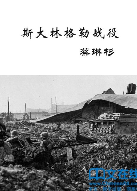 斯大林格勒战役 (二十世纪著名战役)