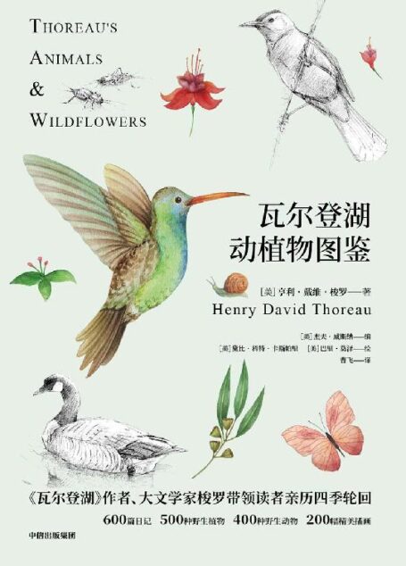 瓦尔登湖动植物图鉴:动物篇+植物篇(2册)