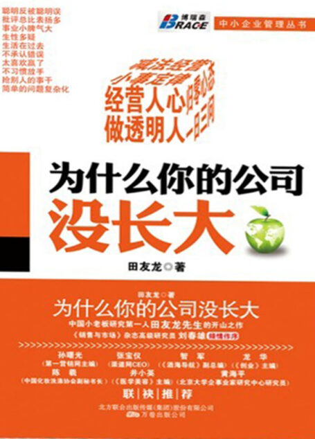 为什么你的公司没长大 (博瑞森中小企业管理丛书)