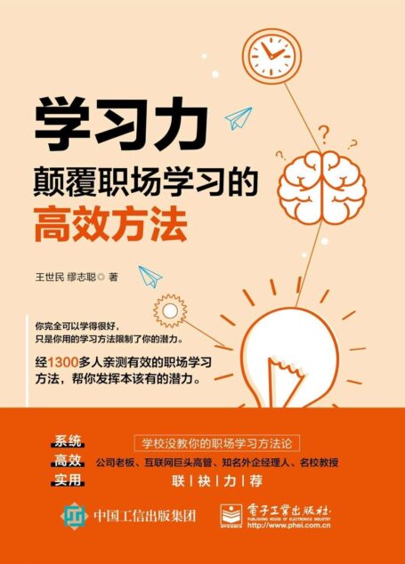 学习力:颠覆职场学习的高效方法
