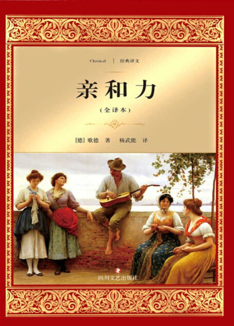 亲和力 (经典译文·文学名著)