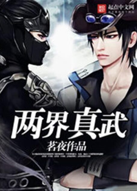《两界真武》(校对版全本)作者:茗夜