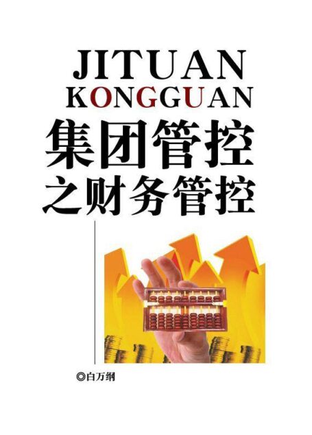集团管控之财务管控 (华彩咨询文库)