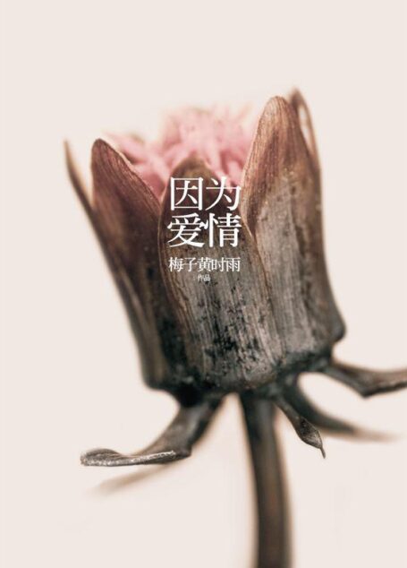 因为爱情
