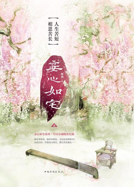 妾心如宅2