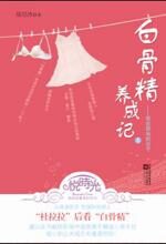 白骨精养成记:我在职场的日子