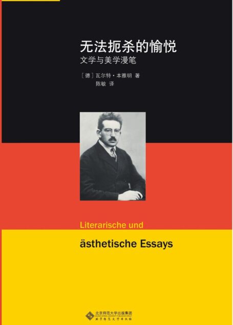 无法扼杀的愉悦:文学与美学漫笔