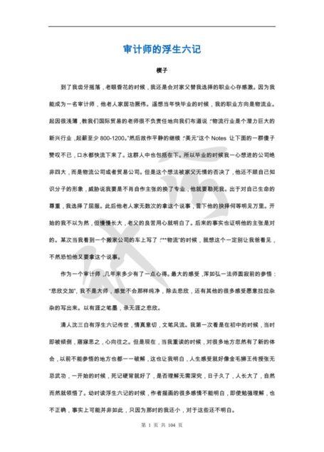 审计师的浮生六记