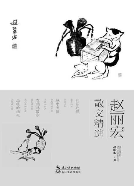 赵丽宏散文精选