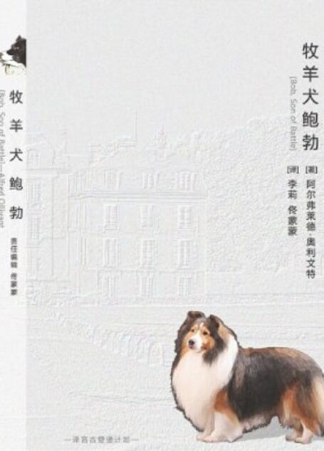 牧羊犬鲍勃