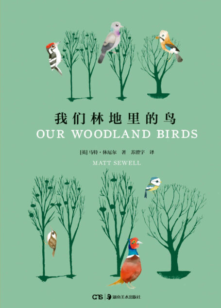 我们林地里的鸟 (世界上的鸟儿)