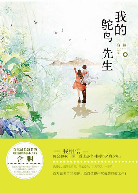 我的鸵鸟先生