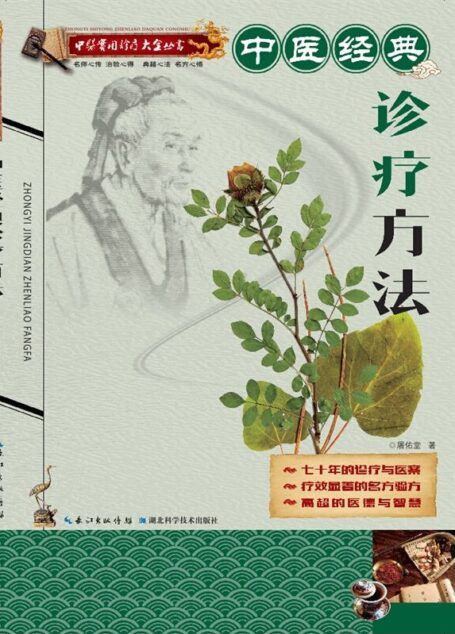 中医实用诊疗大全丛书:中医经典诊疗方法