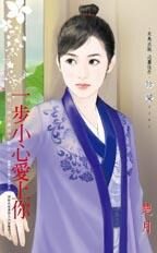 穿越之步步惊心