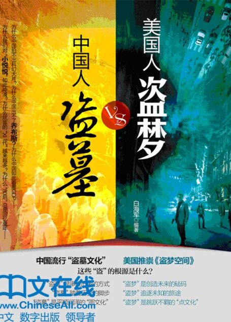 《中国人“盗墓”VS美国人“盗梦”》