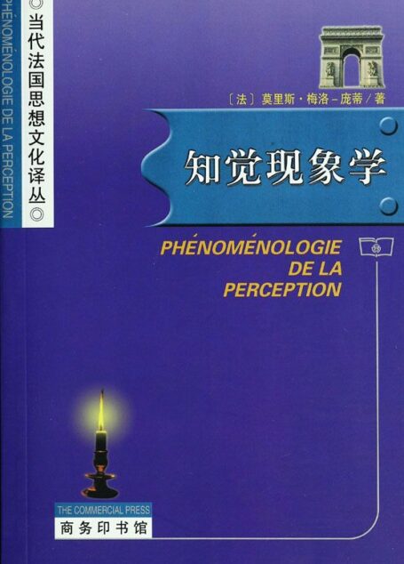 知觉现象学 (当代法国思想文化译丛)