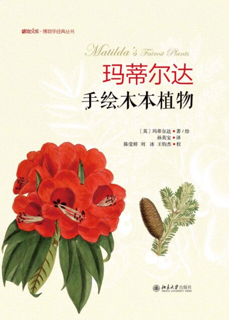 玛蒂尔达手绘木本植物 (博物文库)