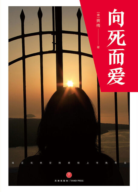 向死而爱(挺立在绝望的废墟上寻找希望!从困境里奋起,一本写给当下女性的自励书。著名学者李泽厚感叹推荐!)