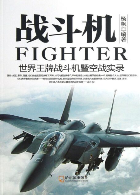 战斗机——世界王牌战斗机暨空战实录 (军事系列图书)