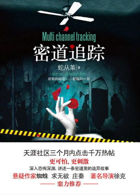 《密道追踪》
