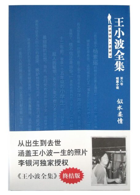 王小波全集(短篇小说)(第八卷):似水柔情(终结版)